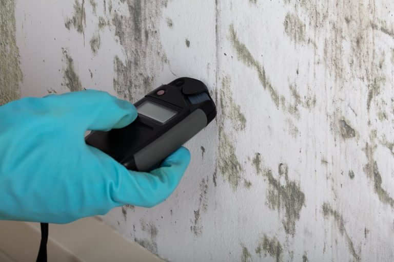 Reliable Mold Testing Service in Decatur, GA: Get Accurate Results